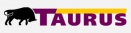 Tires Taurus