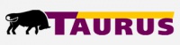 Tires Taurus